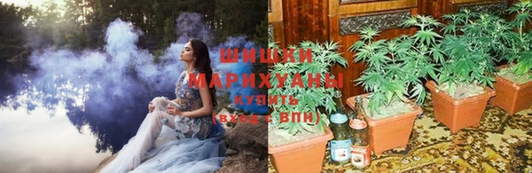 мескалин Бронницы