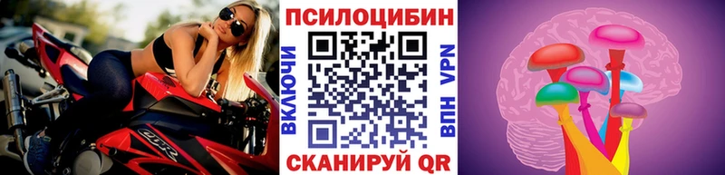 Псилоцибиновые грибы мицелий  Ковылкино 